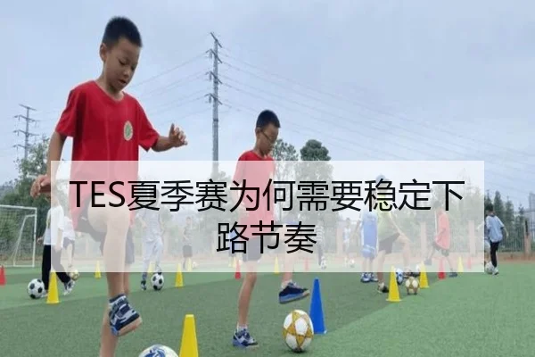 TES夏季赛为何需要稳定下路节奏